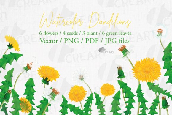 Elevate Designs with Dandelion Watercolor Elements