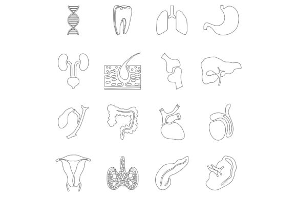 Enhancing Medical UI Design with an Internal Organs Icons Set in Outline Style