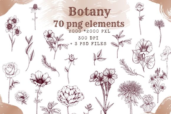 Integrating Botanical Aesthetic Clipart into Professional Creative Workflows